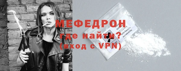 индика Инсар