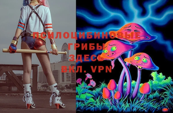 Альфа ПВП Инта