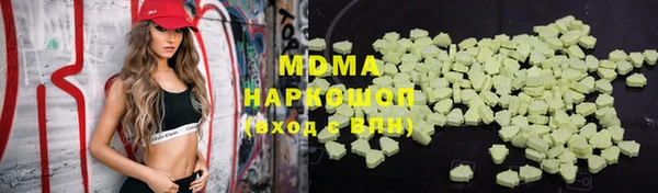 индика Инсар