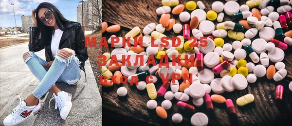 индика Инсар