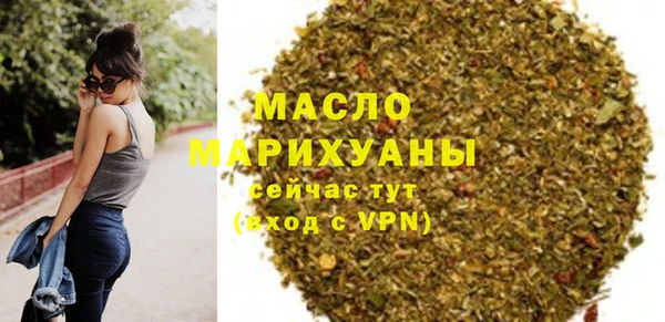 индика Инсар