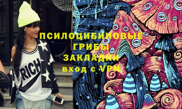 индика Инсар