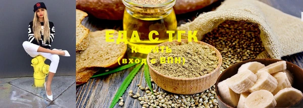 индика Инсар