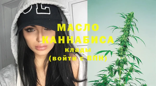индика Инсар