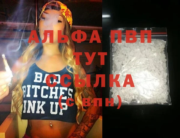Альфа ПВП Инта