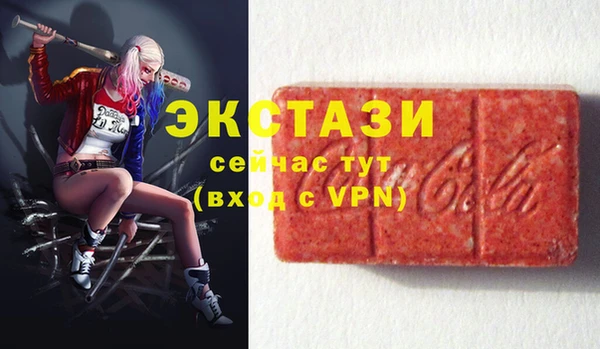 индика Инсар