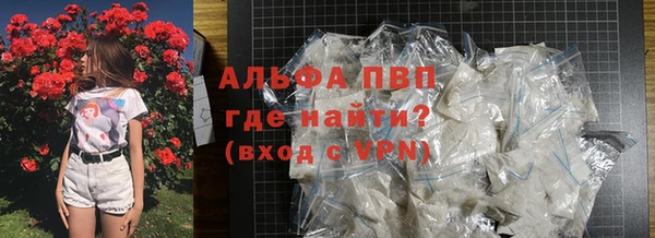 Альфа ПВП Инта