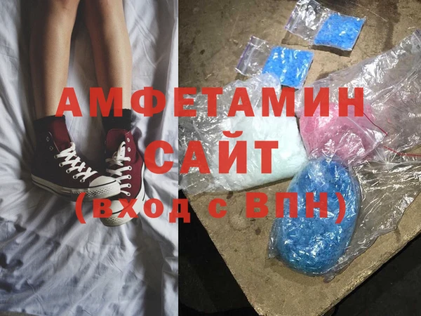 индика Инсар