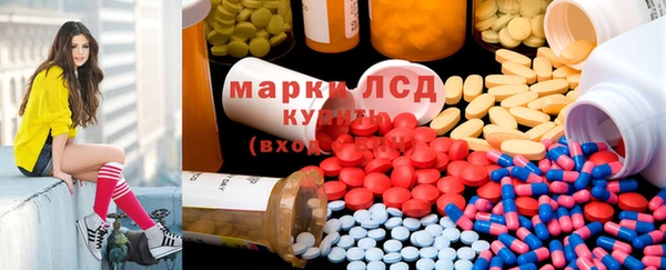 индика Инсар
