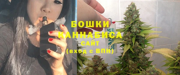 Альфа ПВП Инта
