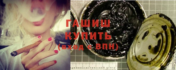 индика Инсар