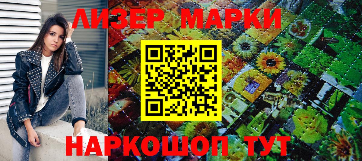 A PVP Каменка