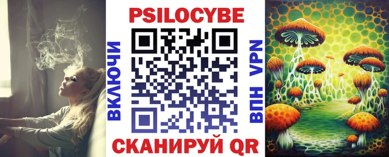 где купить наркотик  Каменка  Галлюциногенные грибы Psilocybine cubensis 