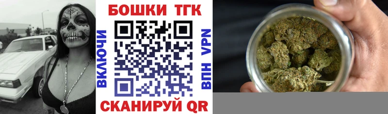 Бошки Шишки THC 21%  купить наркотики сайты  мориарти какой сайт  Каменка 